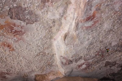 天井に3つの鳥のステンシル 作： Unbekannt Unbekannt